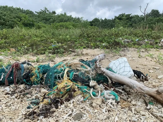 マイクロプラスチック